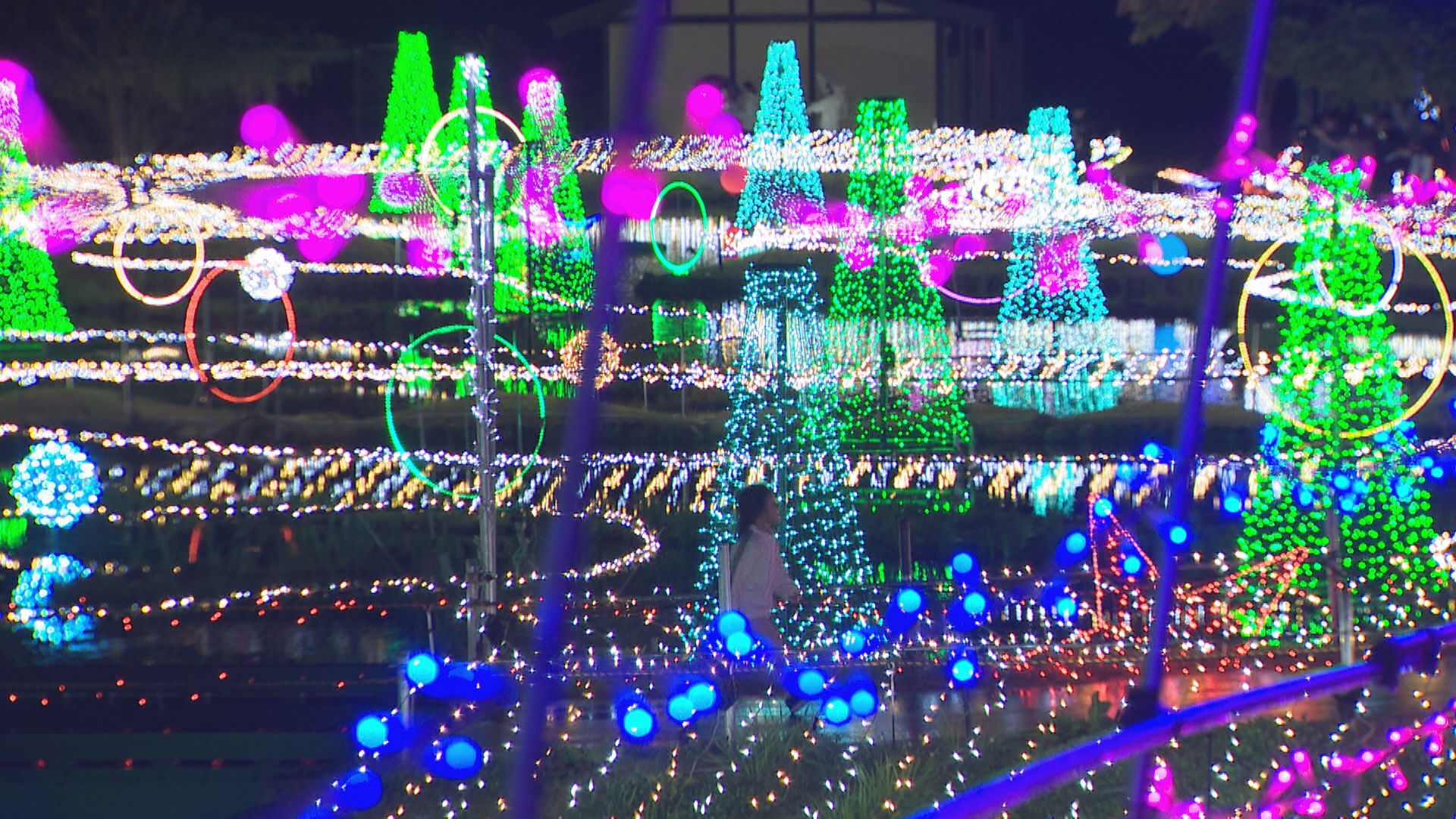 おぷん様　イルミネーション　ご確認用 泉南郡】大盛況「みさきの光宴」緊急告知！最終日渋滞予測～電車利用の