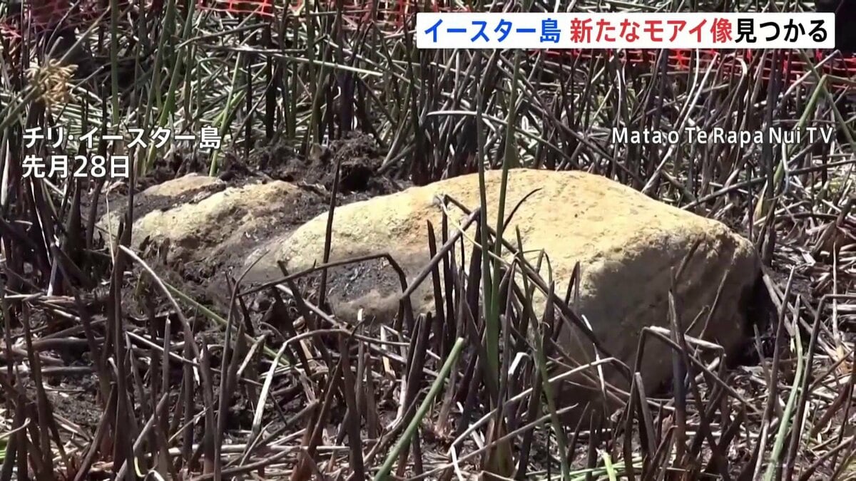 モアイ出品　その他の方の購入はご遠慮ください。 イースター島で新たなモアイ像発見 干上がった湖の底から | TBS CROSS