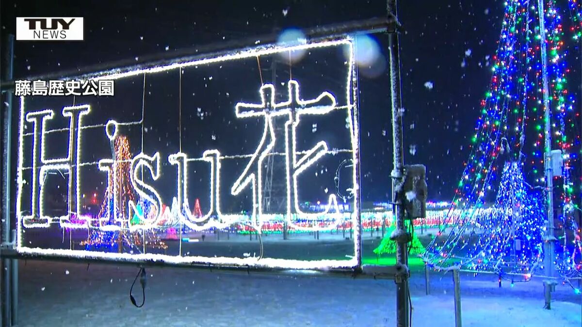 藤の花の名所が15万球のLEDで彩られる 高校生がつくった