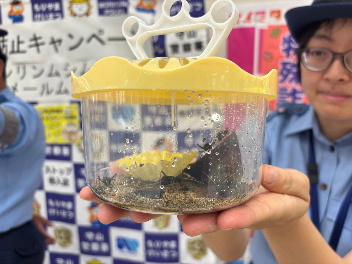 「知らない電話ムシ」「あやしいメールムシ」“スズムシ”配って特殊詐欺を防止！　県内では過去最悪の約215億円の被害　愛知・尾張旭市