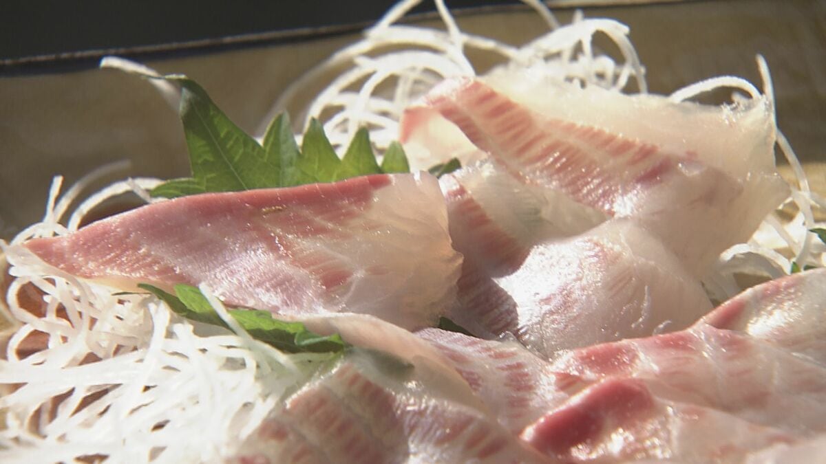 海藻を食い荒らす“海の厄介者”の魚アイゴを名物グルメに  ｢おいしい…間違いなく｣地元の飲食店やホテルがメニュー開発 愛知･田原市