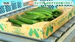 夏といえば「きゅうり」！生産者おすすめの食べ方＆おいしいきゅうりの見分け方は？出荷本格化の前に安全祈願祭（山形・鮭川村）　|　山形のニュース│TUYテレビユー山形