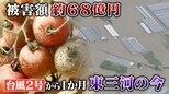 農作物は泥にまみれウナギもアユも流された 被害額は約68億円 線状降水帯による大雨で大きな被害 1か月がたち現場は… | 名古屋・愛知・岐阜・三重のニュース【CBC news】 | CBC web