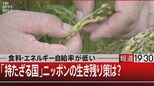 食料・エネルギー自給率が低い 「持たざる国」ニッポンの生き残り策は?【6月22日(水)#報道1930】|TBS NEWS DIG