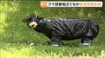 目撃数800件超で「出没注意報」も…市街地でのクマ駆除「緊急銃猟」訓練に密着 宮城・名取市|TBS NEWS DIG