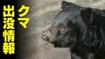 【クマ出没】家庭菜園のスイカ狙うクマ…富山市の住宅街で被害 わずか27分間に通報2件 警察と猟友会が警戒呼びかけ|TBS NEWS DIG