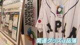 世界一奪還へ WBCで野球熱最高潮 道具やグッズの売れ行きは絶好調 | 山梨のニュース | UTYテレビ山梨