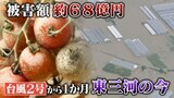農作物は泥にまみれウナギもアユも流された 被害額は約68億円 線状降水帯による大雨で大きな被害 1か月がたち現場は… | 名古屋・愛知・岐阜・三重のニュース【CBC news】 | CBC web