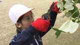 高校生と小学生が地元の特産品であるブドウのせん定作業を体験 岩手・花巻市大迫|TBS NEWS DIG