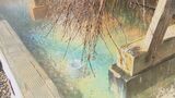 快眠につながる「足湯」や「地獄蒸しメニュー」を提案 大分・別府市 | 大分のニュース|OBS NEWS|大分放送