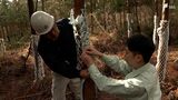 「人の命だけでなく 森の樹木も守ることに使えないか」廃棄エアバッグでシカの食害から守れ【SDGs】 | 静岡のニュース | SBSNEWS | 静岡放送