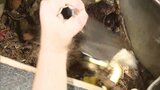 微生物が生ごみを減らしてくれる!? 小学生が学ぶ「なつやすみコンポスト大研究」 | 福岡のニュース|RKB NEWS|RKB毎日放送
