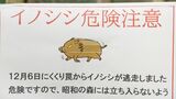 罠から外れた“体重150キロの”イノシシ 鋭い牙で猟友会の男性襲い逃げる 翌日に捕獲・殺処分されたイノシシと同じか? 愛知・豊田市の公園で|TBS NEWS DIG