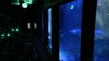 「昼とは違う姿ぜひ見てほしい」 今年も”夜のすいぞくかん”開催 | 福岡のニュース|RKB NEWS|RKB毎日放送