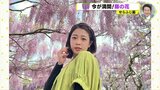 満開の藤の花＆スイーツ満喫！ 連休おすすめインスタ映えスポット　せらふじ園の魅力を渕上沙紀アナが紹介　|　RCC NEWS | 広島ニュース | RCC中国放送