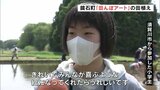 「みんなが喜ぶ絵になったらうれしい」田んぼアートの田植え　福島・鏡石町|TBS NEWS DIG