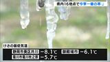 【最強寒波】「手袋してもたまらない…元気なのは犬だけ」井川マイナス8.1℃、御殿場マイナス6.1℃…静岡県内16地点で今冬一番の寒さ　山間部うっすら雪化粧|TBS NEWS DIG