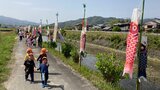 555匹のこいのぼり 川沿い1キロにわたって優雅に泳ぐ 大分 | 大分のニュース|OBS NEWS|大分放送