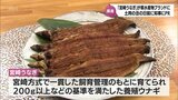 「宮崎うなぎ」が宮崎県の水産物ブランドに認証 「宮崎方式」で基準を満たした養殖ウナギが対象|TBS NEWS DIG
