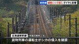 北海道新幹線の線路にシカ侵入か　貨物列車の運転士が目撃　新青森⇔新函館北斗で一時運転見合わせ  始発から6本運休  JR北海道|TBS NEWS DIG