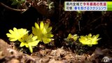 酸ケ湯でも4.0℃ “春の陽気”に包まれ青森県内全域で今年最高の気温を記録 三沢市では春を告げる「フクジュソウ」が咲く 雪どけによる雪崩などには注意を 青森県 | 青森のニュース│ATV NEWS│青森テレビ