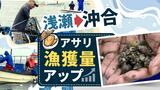 アサリ「大きくなるばい!」浅瀬で生まれた稚貝を沖合へ“移植”漁獲量アップへ | 福岡のニュース|RKB NEWS|RKB毎日放送