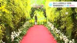訪れた人は“招待客” 朝ドラ「らんまん」主人公のモデル牧野富太郎博士が和名つけたラン展 4日から開催 | 高知のニュース・天気|KUTV NEWS | KUTVテレビ高知