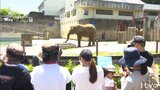 特製おからケーキでお祝い アフリカゾウの砥愛(とあ)10歳の誕生会 愛媛・とべ動物園 | 愛媛のニュース - Nスタえひめ|あいテレビは6チャンネル