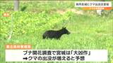 ブナの"大凶作"で増加か クマ目撃相次ぎ「出没注意報」宮城　|　宮城のニュース│tbc NEWS│tbc東北放送