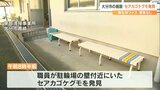 「セアカゴケグモ」清掃事業所で見つかる 毒があり噛まれると痛みや腫れ 市が注意呼びかけ 大分 | 大分のニュース|OBS NEWS|大分放送