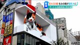 新宿名所の“3D巨大ネコ”生みの親が着任「ここにしかない“特殊なもの”をまだまだいろいろ…」長岡造形大学山本信一教授|TBS NEWS DIG