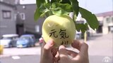 「リンゴ食べて長生きしてほしい」短命県返上テーマに学習　児童が栽培したリンゴを高齢者施設に　収穫前に盗難防止看板|TBS NEWS DIG