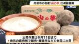 すりおろすと強い粘り気を持つのが特徴 特産品「山の芋」出荷作業が最盛期 兵庫・丹波市|TBS NEWS DIG
