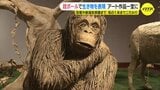 段ボールアートの世界 巨大な恐竜や “絶滅危惧種” の動物などを表現 毛の細部までこだわり|TBS NEWS DIG