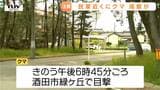 民家すぐ隣の林で...酒田市の住宅街でクマ1頭目撃　きょう夕方には米沢市でも目撃　クマ出没警報継続中（山形）|TBS NEWS DIG