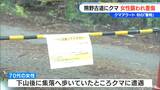 熊野古道にクマ 女性襲われ重傷 三重県が初の「警報」を発表 山に入る際は鈴など“音のするもの”を携帯！単独行動避けて|TBS NEWS DIG