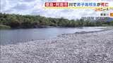 水着の男子高校生が川底で見つかり死亡　水難事故か　水深は約4m…川岸には携帯や上着　徳島・阿南市の那賀川|TBS NEWS DIG