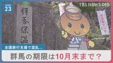 群馬県だけ“10月末で終了”?「無駄に期待させられた」…“全国旅行支援”に期待と歓迎の声の一方、混乱も|TBS NEWS DIG