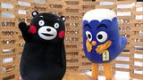 「遊びに来てほしかモーン!」静岡⇔熊本直行便再開2周年で「くまモン」が静岡で熊本の魅力PR | 静岡のニュース | SBSNEWS | 静岡放送