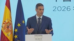 スペイン政府 在留資格のない移民約50万人に在留許可| TBS CROSS DIG with Bloomberg