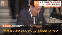 今年度補正予算案が衆議院通過 国民民主党が賛成 “ガソリン減税”実現性は？自民、公明、国民民主の3党で協議へ| TBS CROSS DIG with Bloomberg