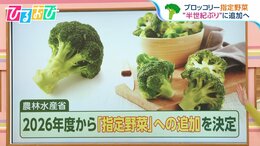 半世紀ぶり！ブロッコリーが「指定野菜」に追加　今後の価格に影響は？【ひるおび】|TBS NEWS DIG