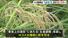 「コメ生産量に不足があった」認める方針 増産に転換へ 高騰要因きょう夕方に検証結果を公表へ|TBS NEWS DIG