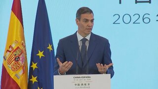 スペイン政府 在留資格のない移民約50万人に在留許可| TBS CROSS DIG with Bloomberg