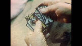 珍しいウンスンカルタ(人吉市)【昭和52年・1977年】~RKKニュースミュージアム~ 熊本 | 熊本のニュース|RKK NEWS|RKK熊本放送