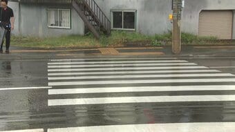 市街地の道路で10歳未満の女の子が軽乗用車にはねられる　信号機のある横断歩道を1人で渡っていたか　病院搬送も意識あり　札幌市西区|TBS NEWS DIG