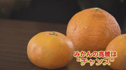 ミカンページ みかんページ① みかん様 みかん様 ミカン様 ミカン様 蜜柑様 レビュー