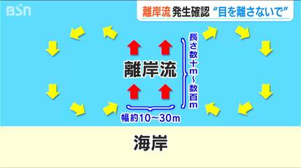 きしを様確認用 買えれ