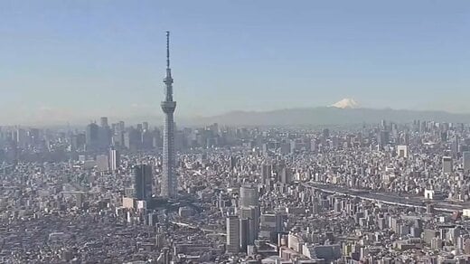 TOPIX見直しで変わる株主構成　個人投資家が機関投資家の売りの受け皿に| TBS CROSS DIG with Bloomberg