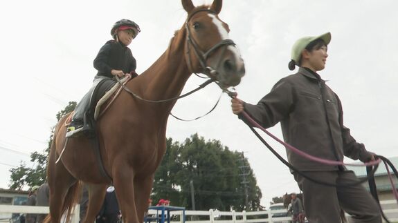 「怖いけど楽しい！」緊張する児童に高校生が優しく声掛け　乗馬体験の先生は菊池農業高校 “乗用馬専攻” の生徒　熊本　|　熊本のニュース｜RKK NEWS｜RKK熊本放送